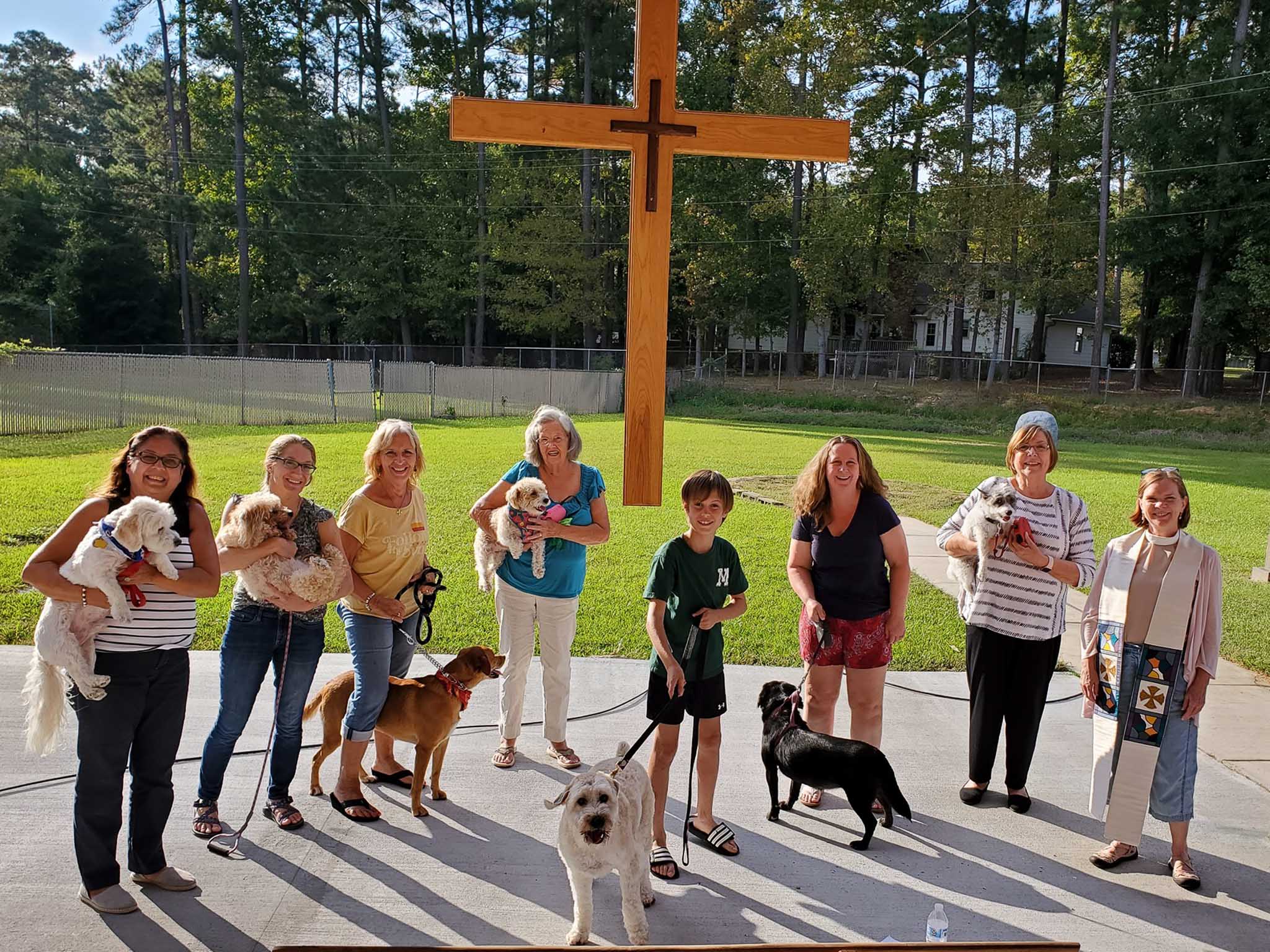 Blessing of Animals