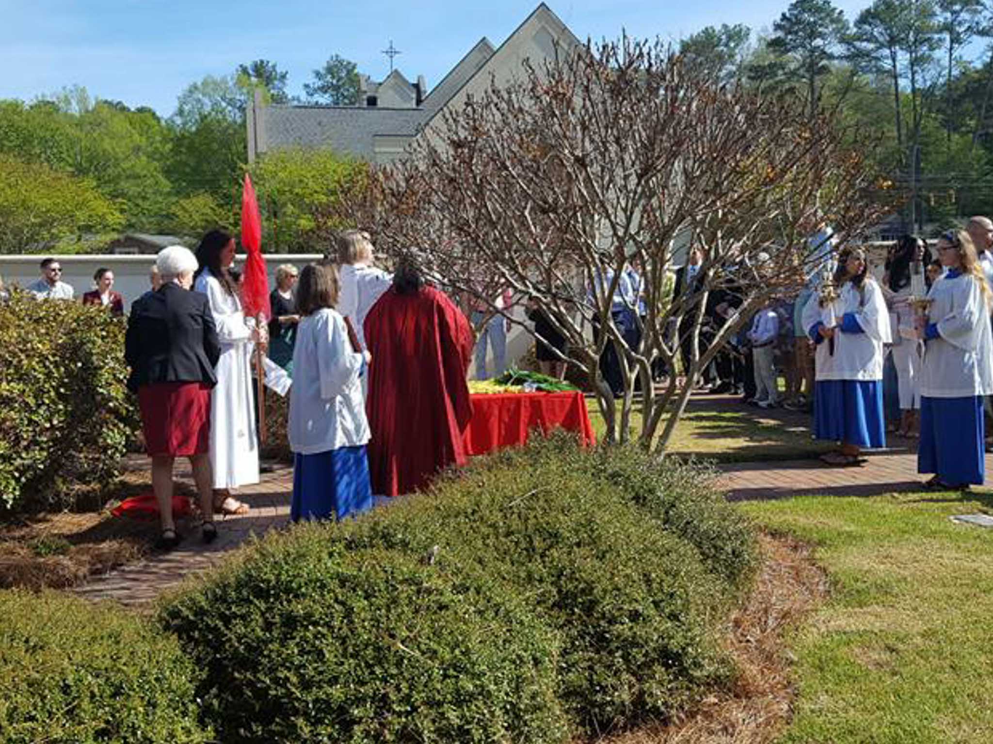 Blessing of Palms